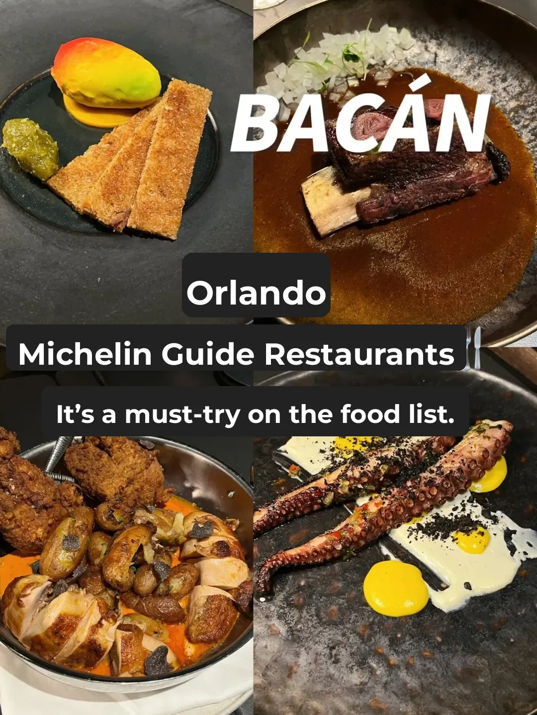 Orlando Dining｜Bacán – A Must-Try Restaurant in Orlando