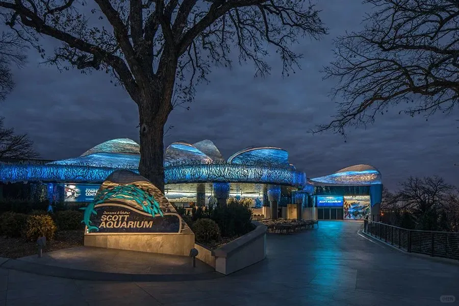 Susan and Walter Scott Aquarium Lighting Design Project