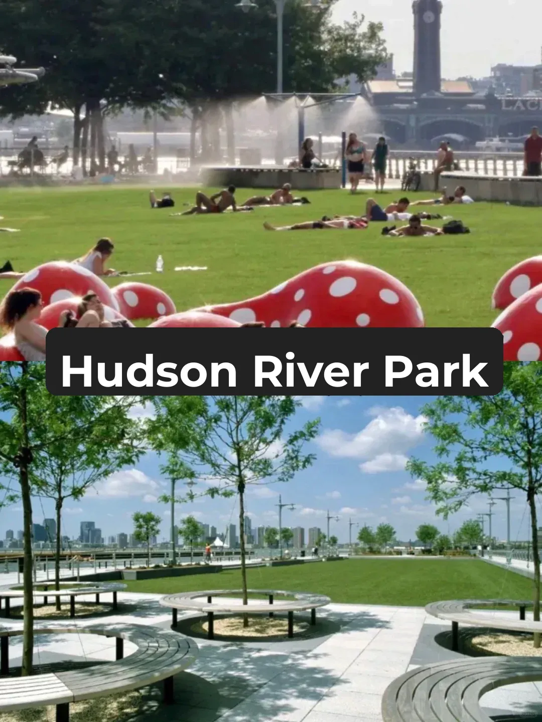 New York🌟Top Spots for a Weekend Picnic in April❗️