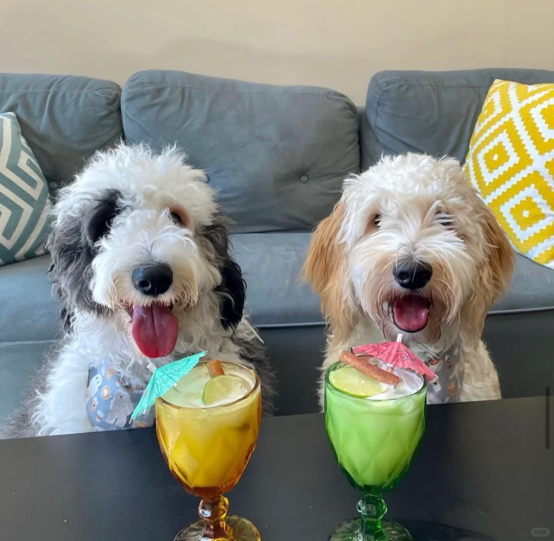 Washington DC Lawyer-Approved Happy Hour Restaurants & Bars