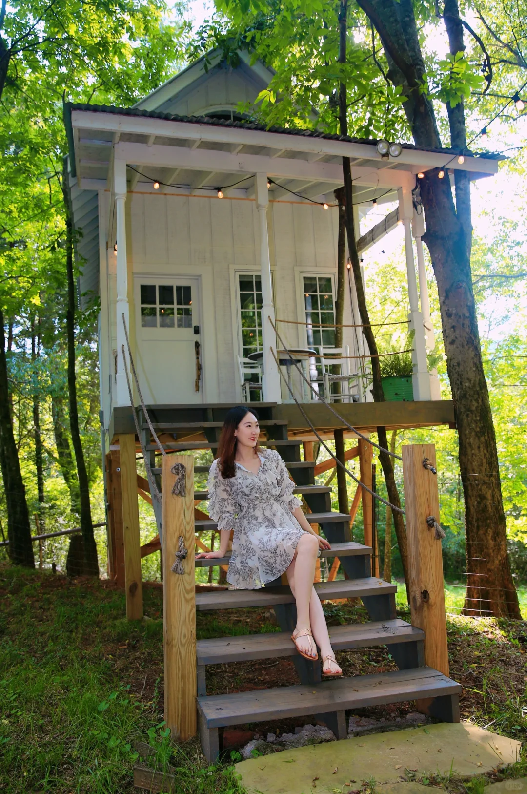 Around Atlanta | A Treehouse Surrounded by Animals