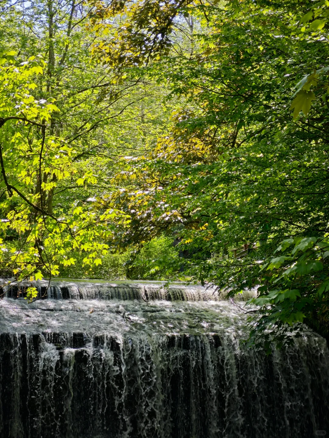 Chevreuse's New Route