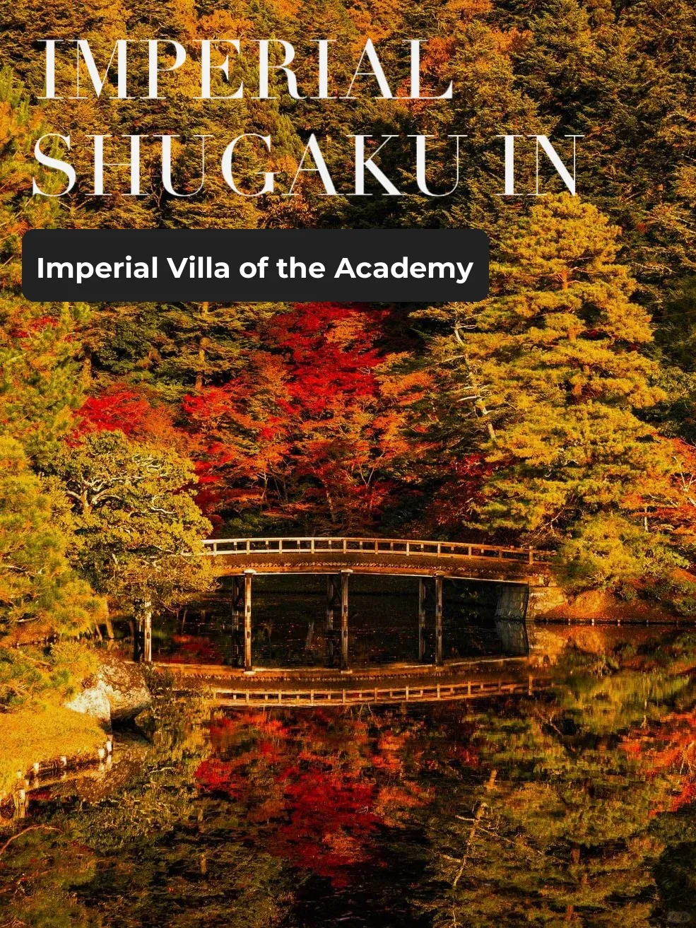 The fame of this Kyoto garden is inversely proportional to its stunning autumn foliage.