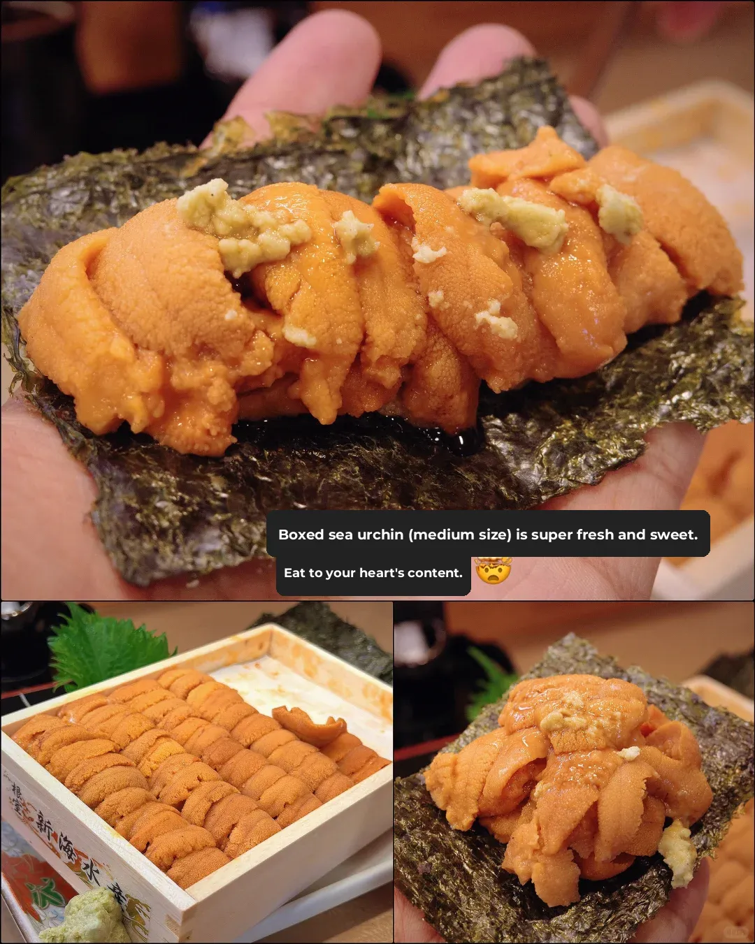 Tokyo | Dive into Uni Heaven at This Izakaya