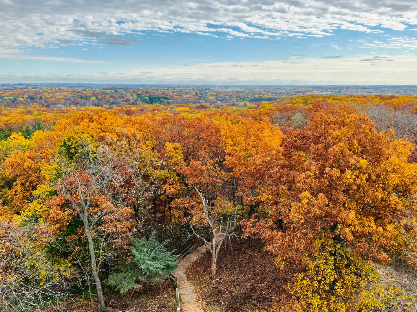"Best Spots to Enjoy Autumn Foliage in Milwaukee's Suburbs"