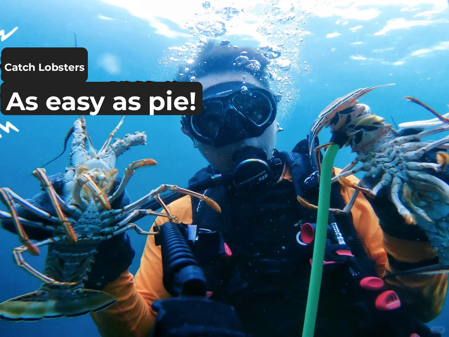 Miami's Trendy Dive Shop Check-In | Lobster Life 🦞