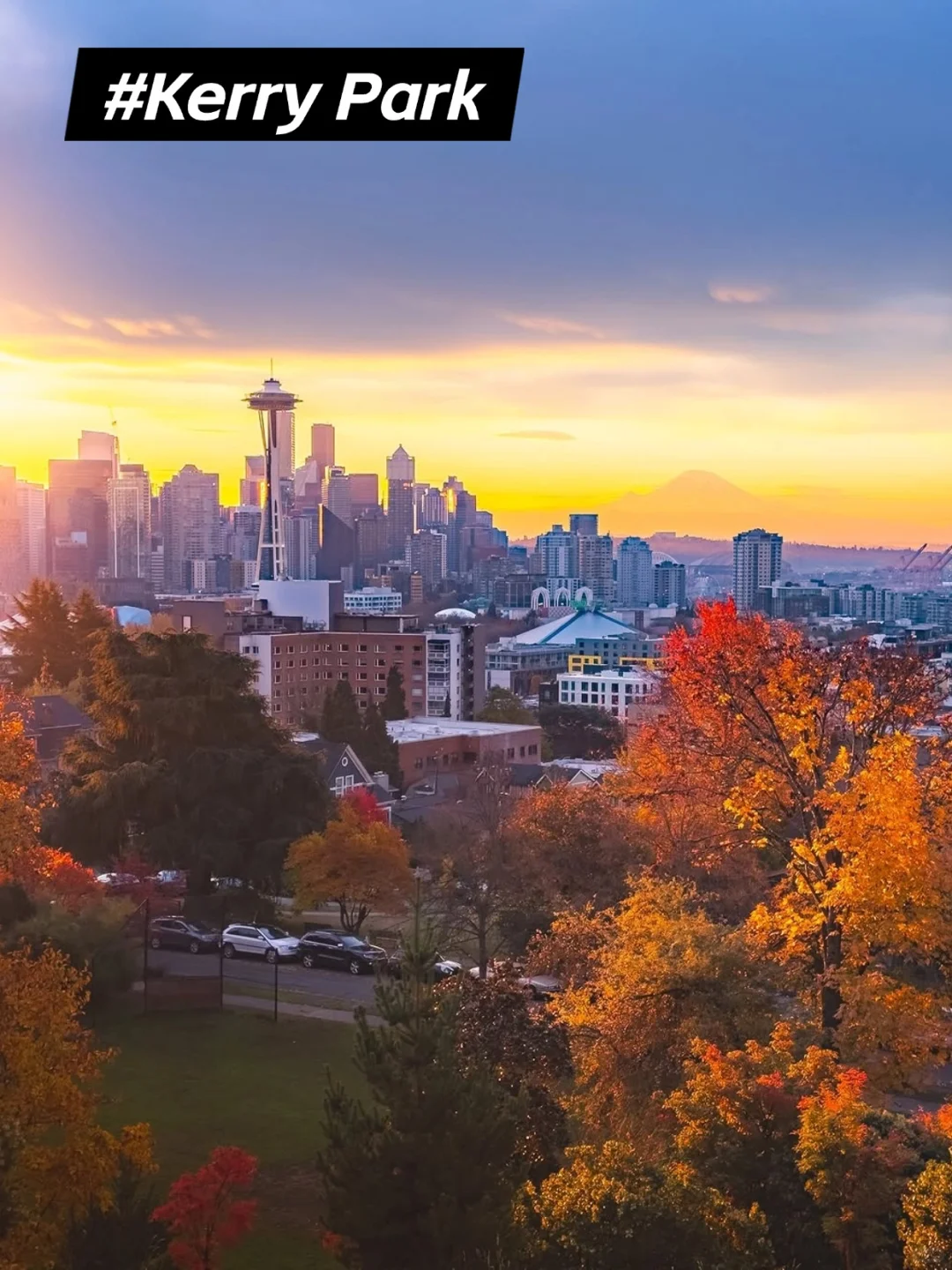 USA | Seattle's Ultimate Travel Guide‼️ Painstakingly Compiled