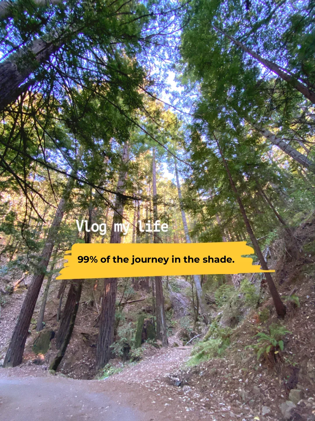 🏔️ SF Bay Area Hiking (9): Cool Escapes Trail ❄️