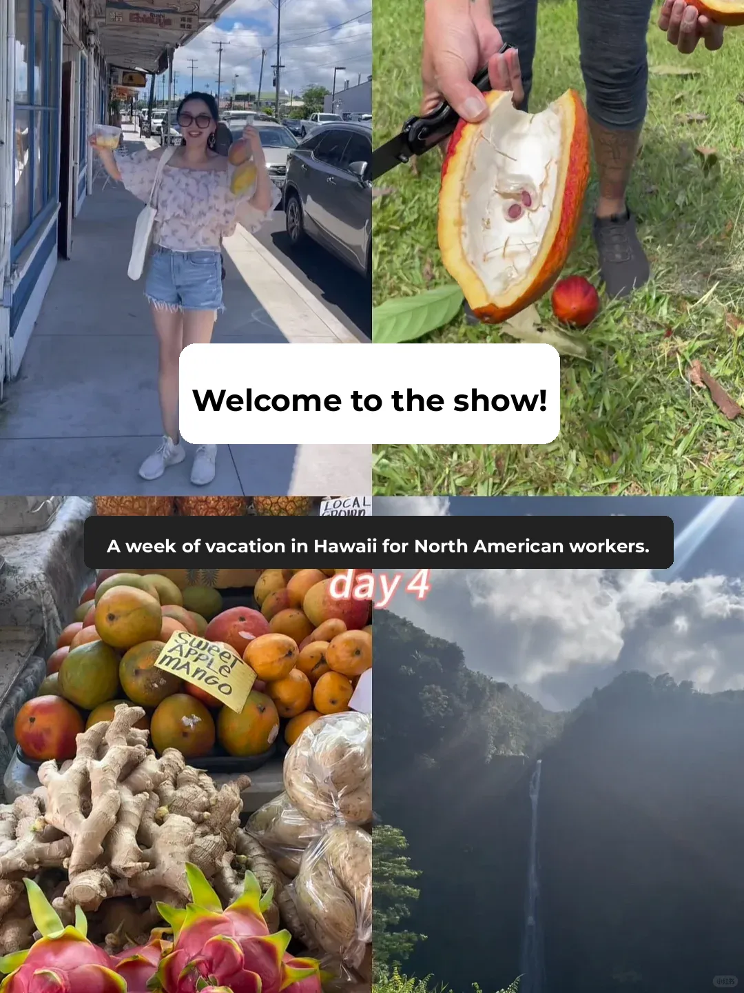 Hawaii Big Island Day 4 | Chocolate Farm | Farmers' Market