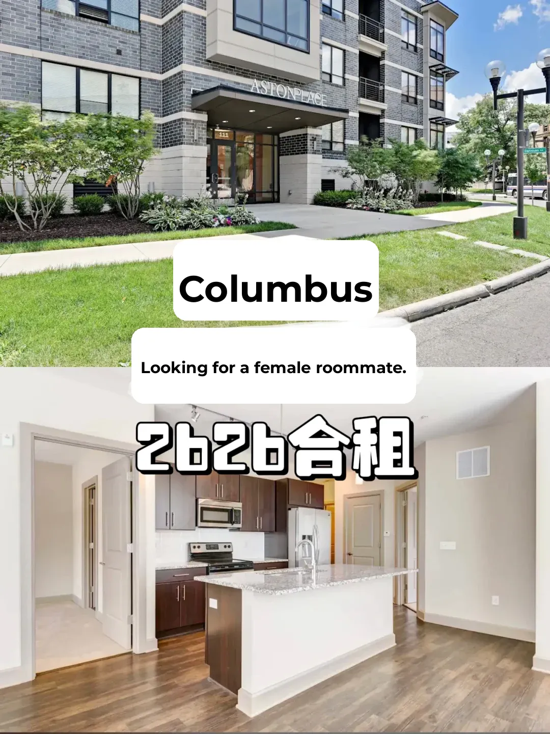 Affordable 2B2B Female Shared Apartment Near Campus in Columbus
