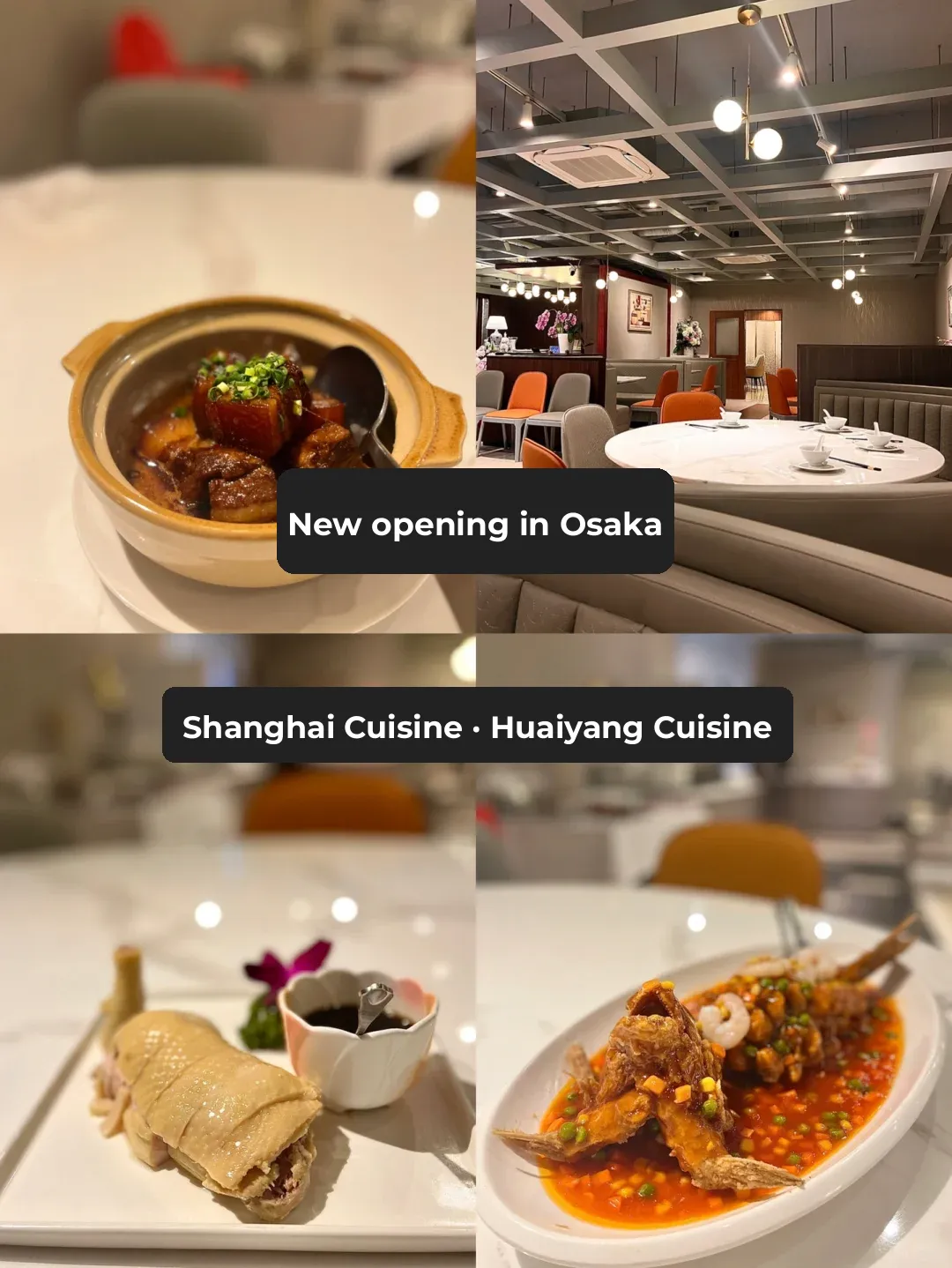 Exploring Osaka: Shanghai Cuisine & Huaiyang Delicacies 😋