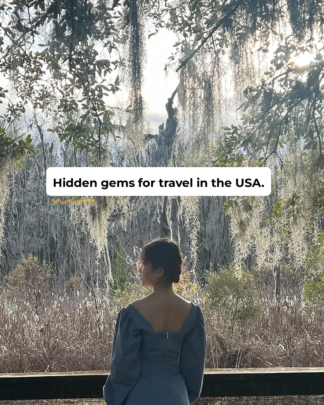 American Artsy International Student | Hidden Gem in the U.S. - Charleston