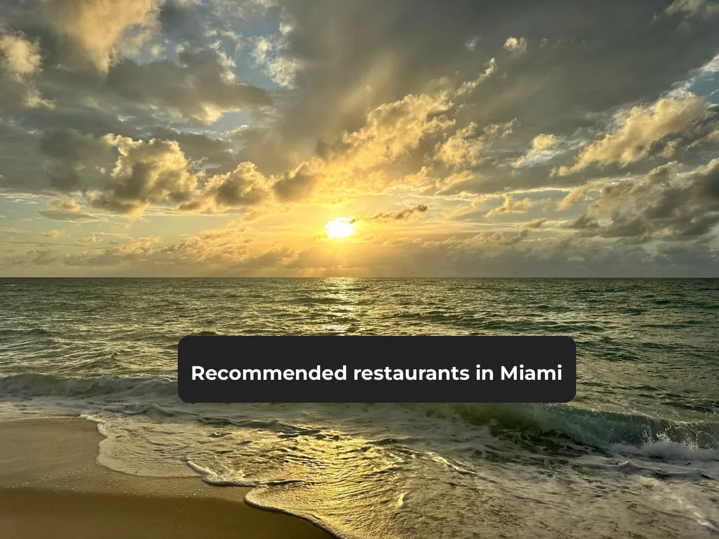 Miami Eats: Top Restaurant Picks