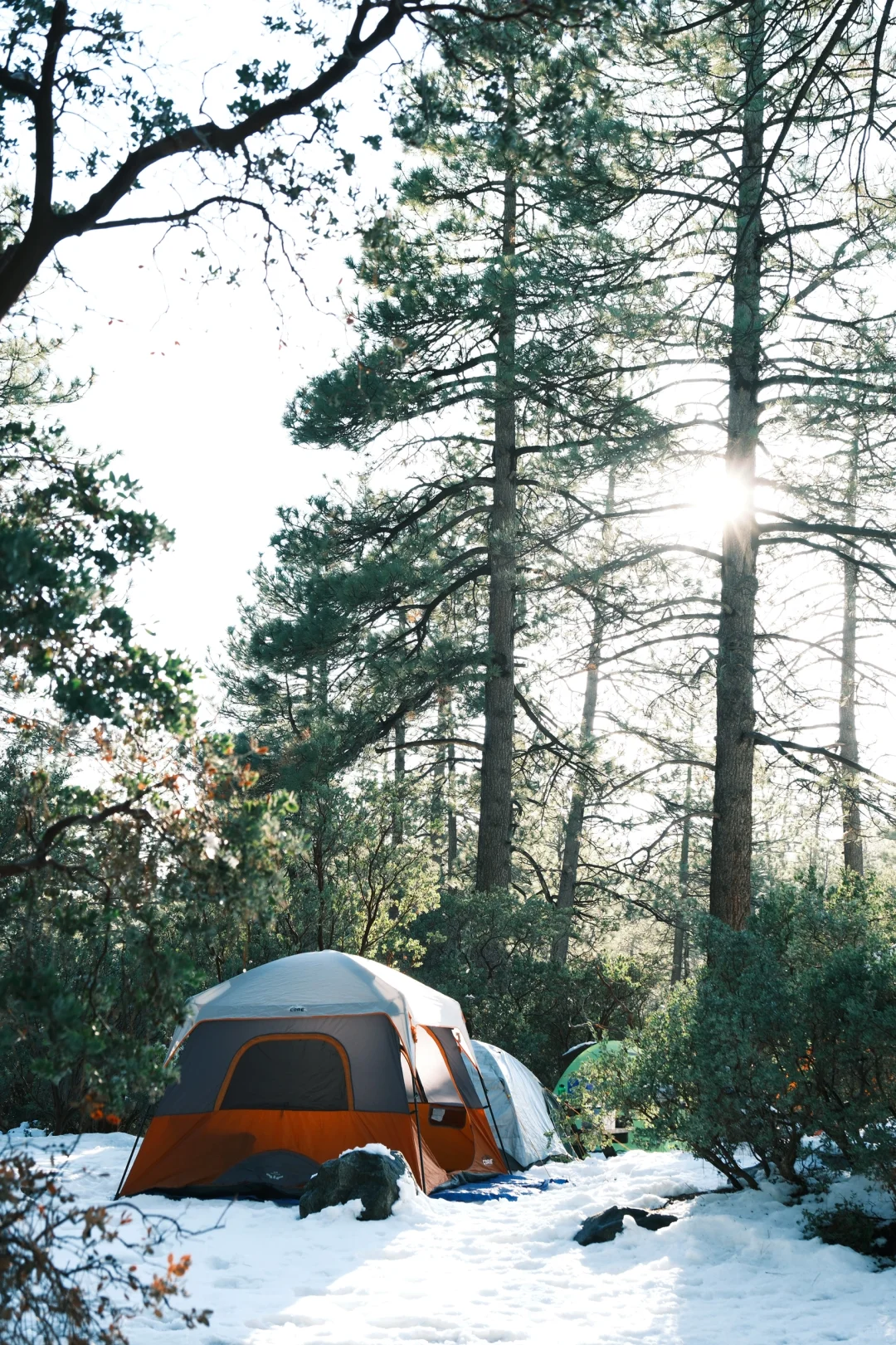 Tesla Camping in SoCal 🏕️| A Weekend Getaway in Idyllwild