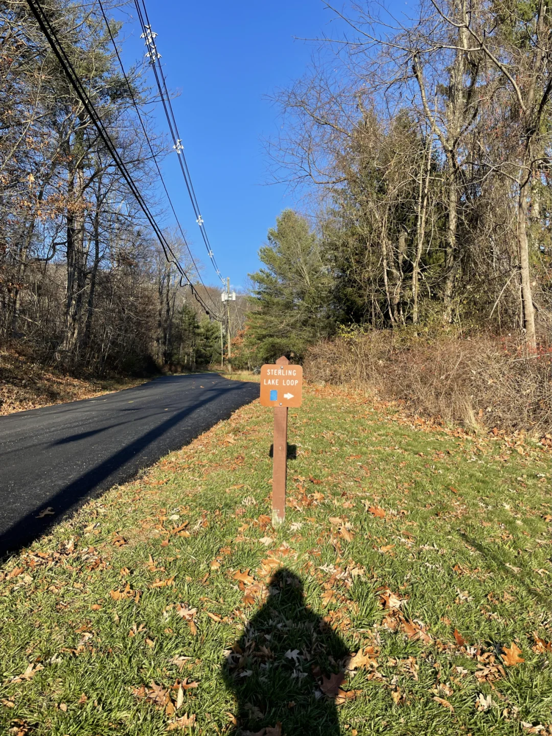 Easy Hiking Trails Near NYC: Sterling Lake Loop