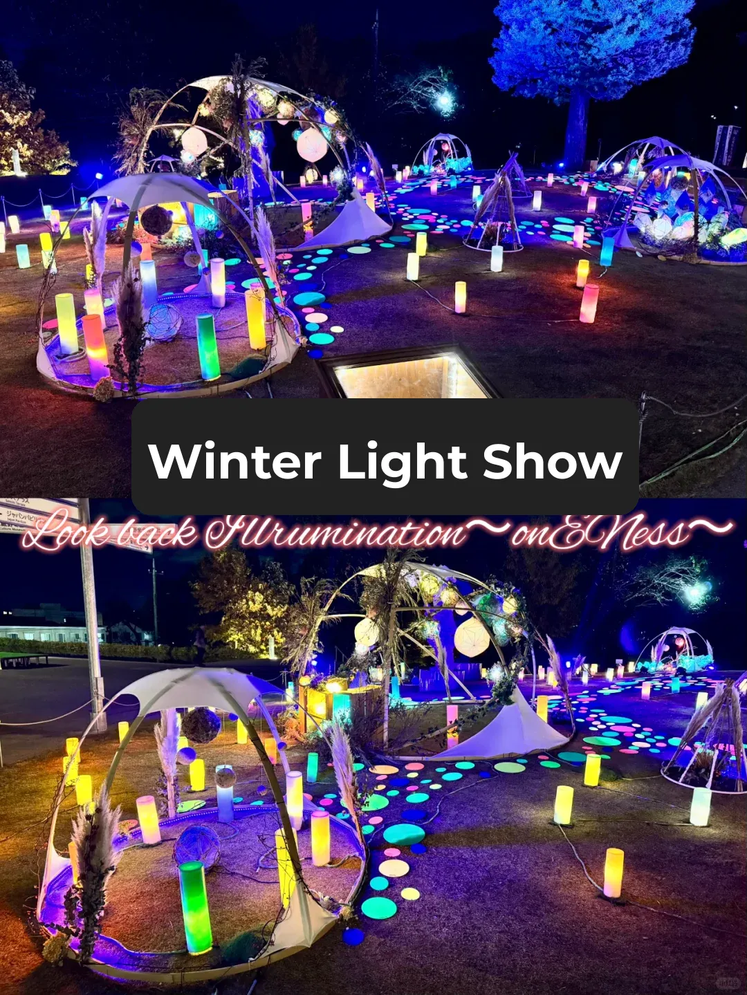 On the Day of the First Snow, Visit Sakura City🌸 to Capture the Winter Light