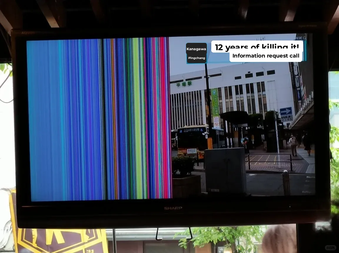 "🇯🇵 Which Indian Restaurant in Tokyo's Shinbashi is the Best? 👀"