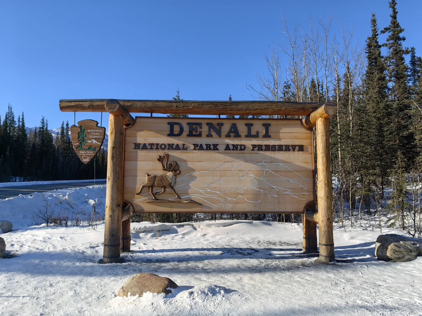 Alaska | Denali: My First National Park Adventure
