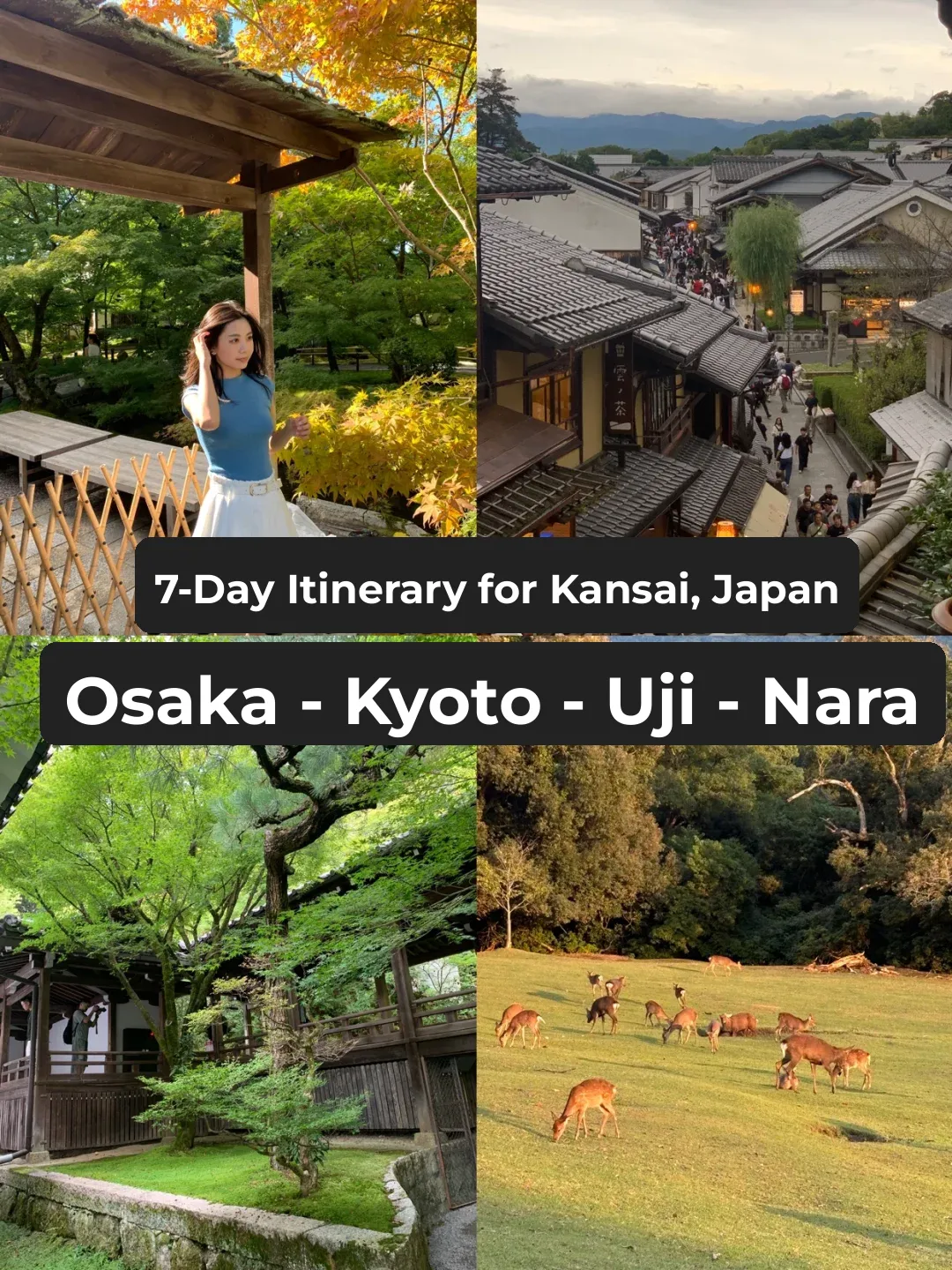 🇯🇵 7-Day Osaka-Kansai Itinerary in Japan! Budget: 8k RMB per person 💰