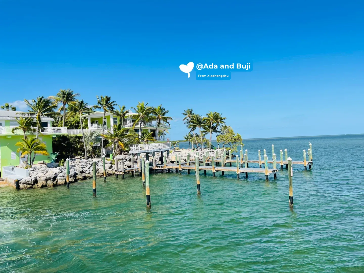 Lazy Travelers' Group: Key Largo's Jellyfish Sea