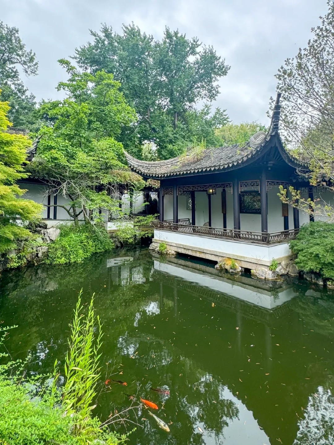 Staten Island, NYC | The Alluring Chinese Garden of Tranquility