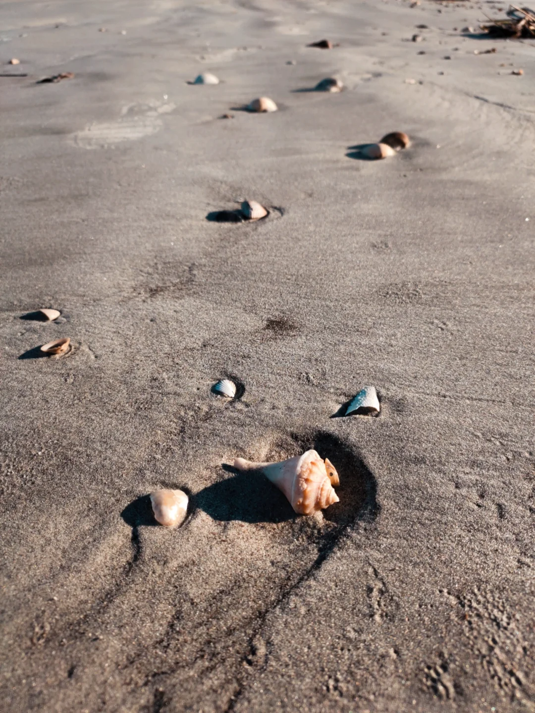 Georgia's Port Town and the Banyan Forest Where Wild Horses Roam