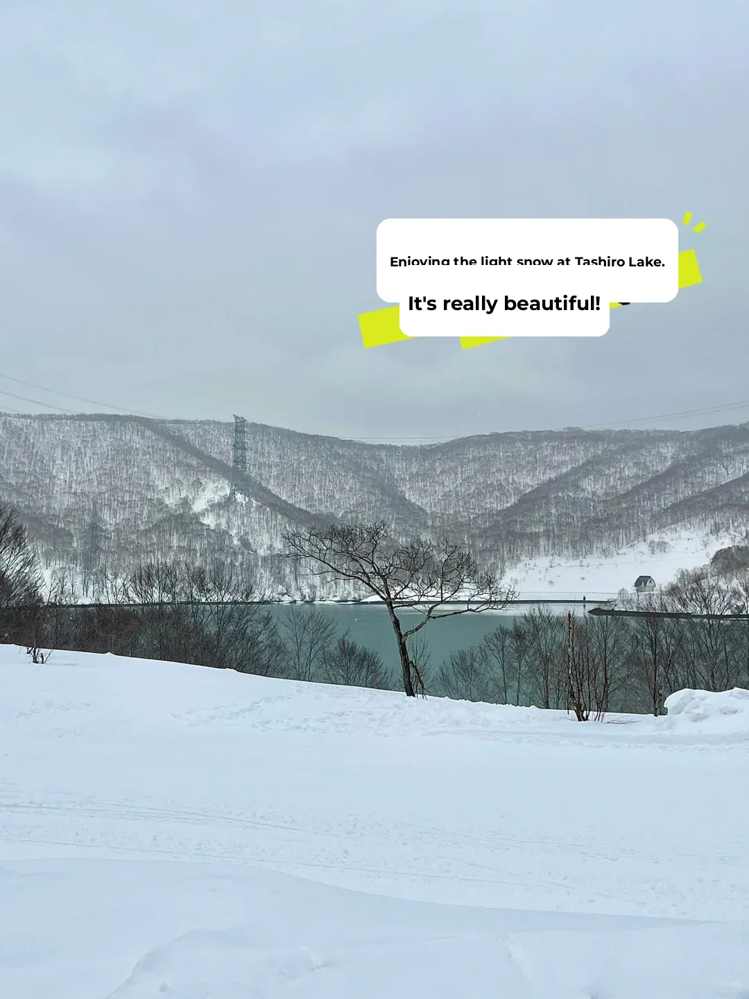 I genuinely want to advise everyone not to come to Echigo Yuzawa for skiing 🏂