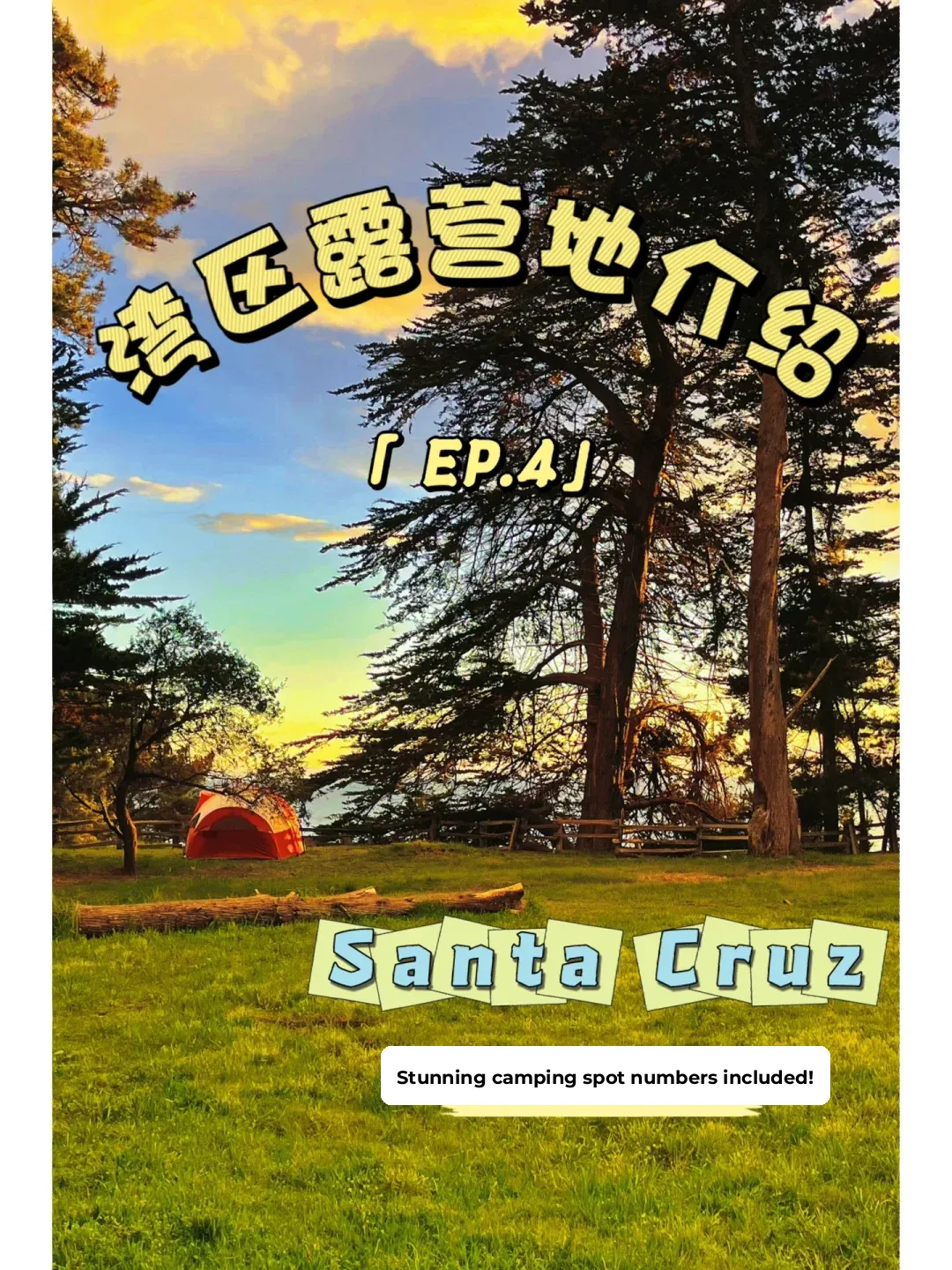 Stunning Campgrounds Around the Bay Area EP.4 (Santa Cruz)