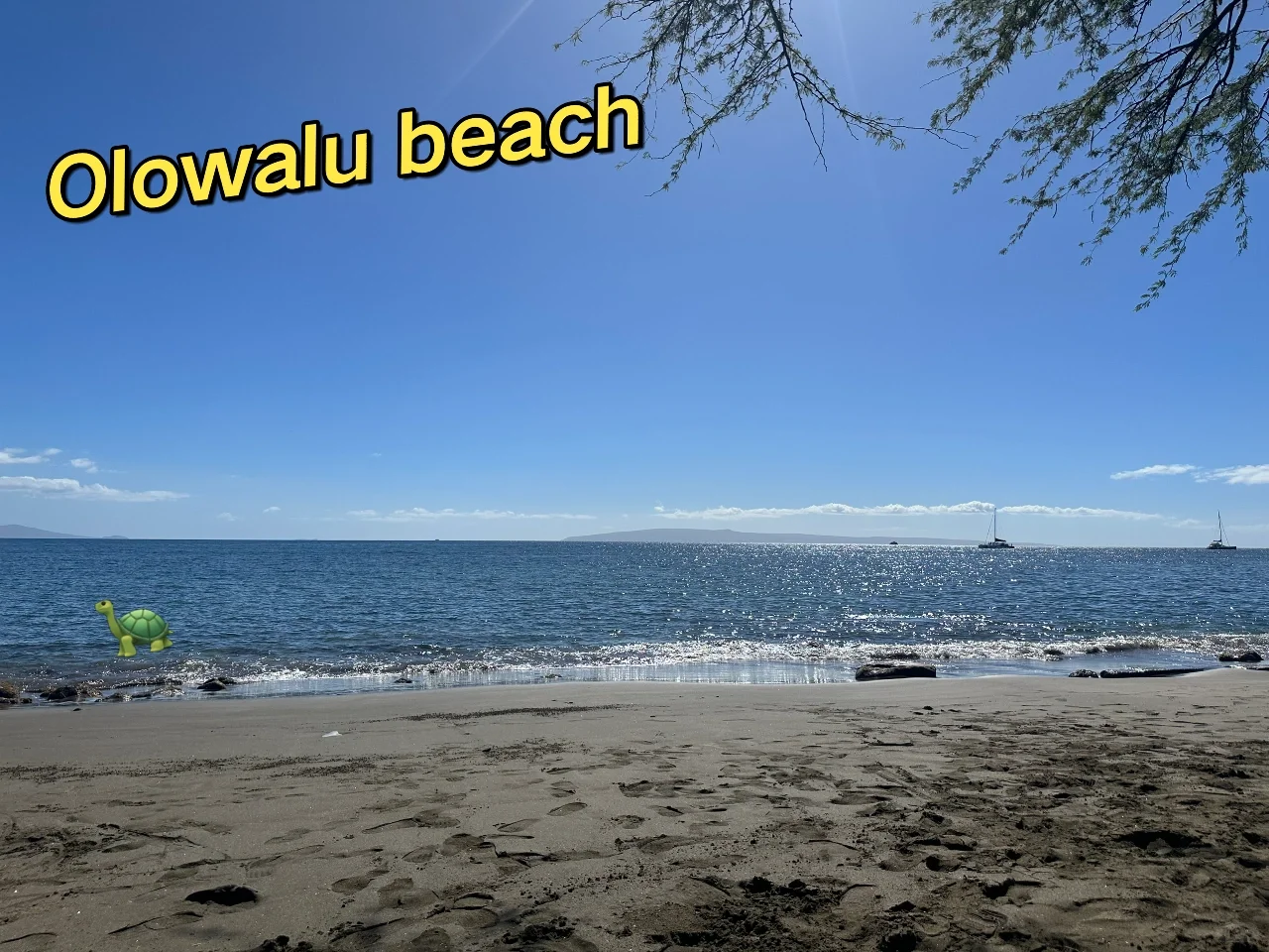 Christmas Snorkeling Diary in Maui, Part Two