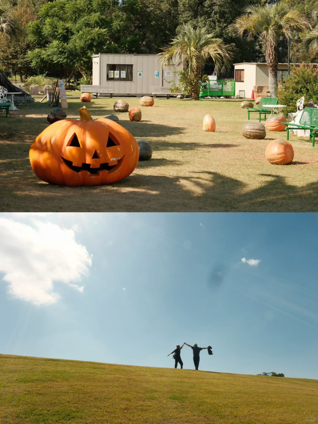 Tokyo Stroll Guide 🚶‍♀️ Park Lovers Unite!