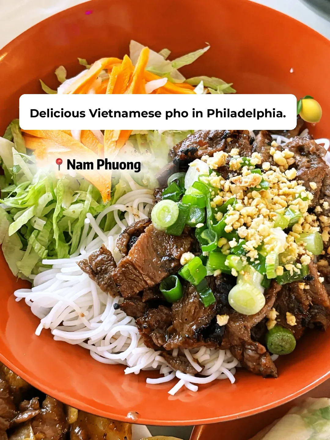 Philadelphia Eats | Refreshing Vietnamese Vermicelli in PA for a Cool Summer 🇻🇳