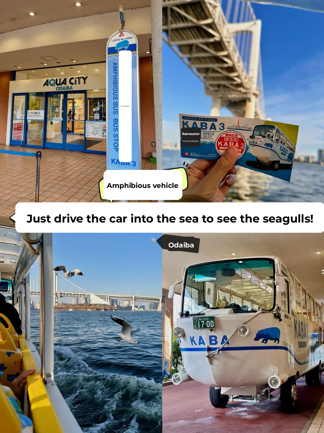 🇯🇵 This super cool project is surprisingly under the radar!