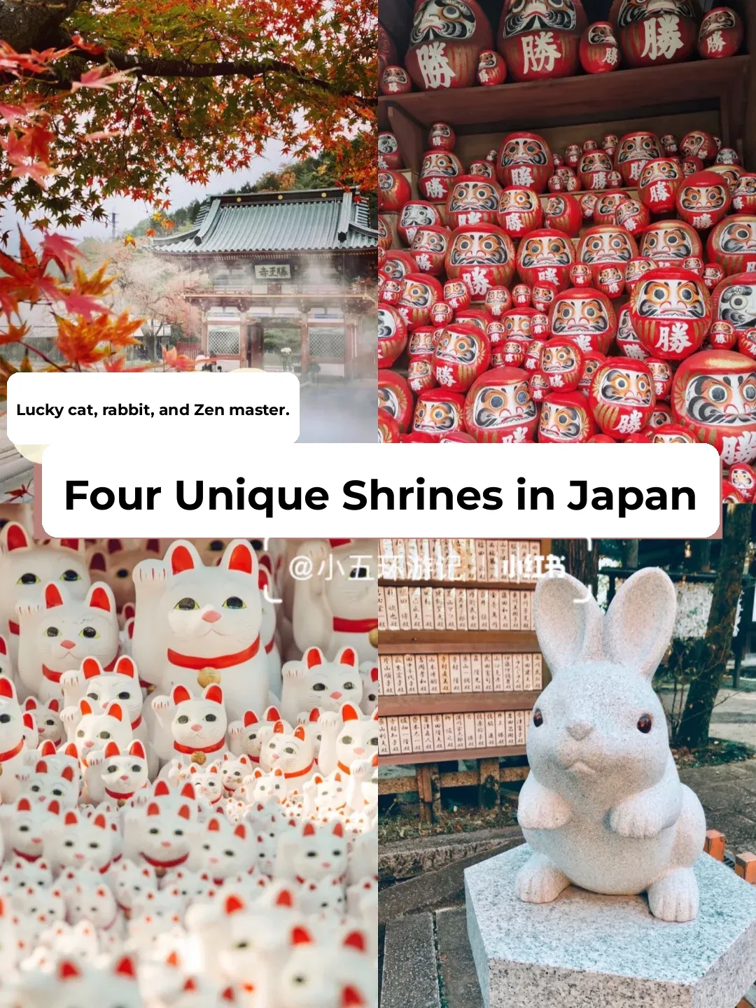4 Unique Shrines in Japan: Which One Will You Visit for a Super Spiritual Experience?