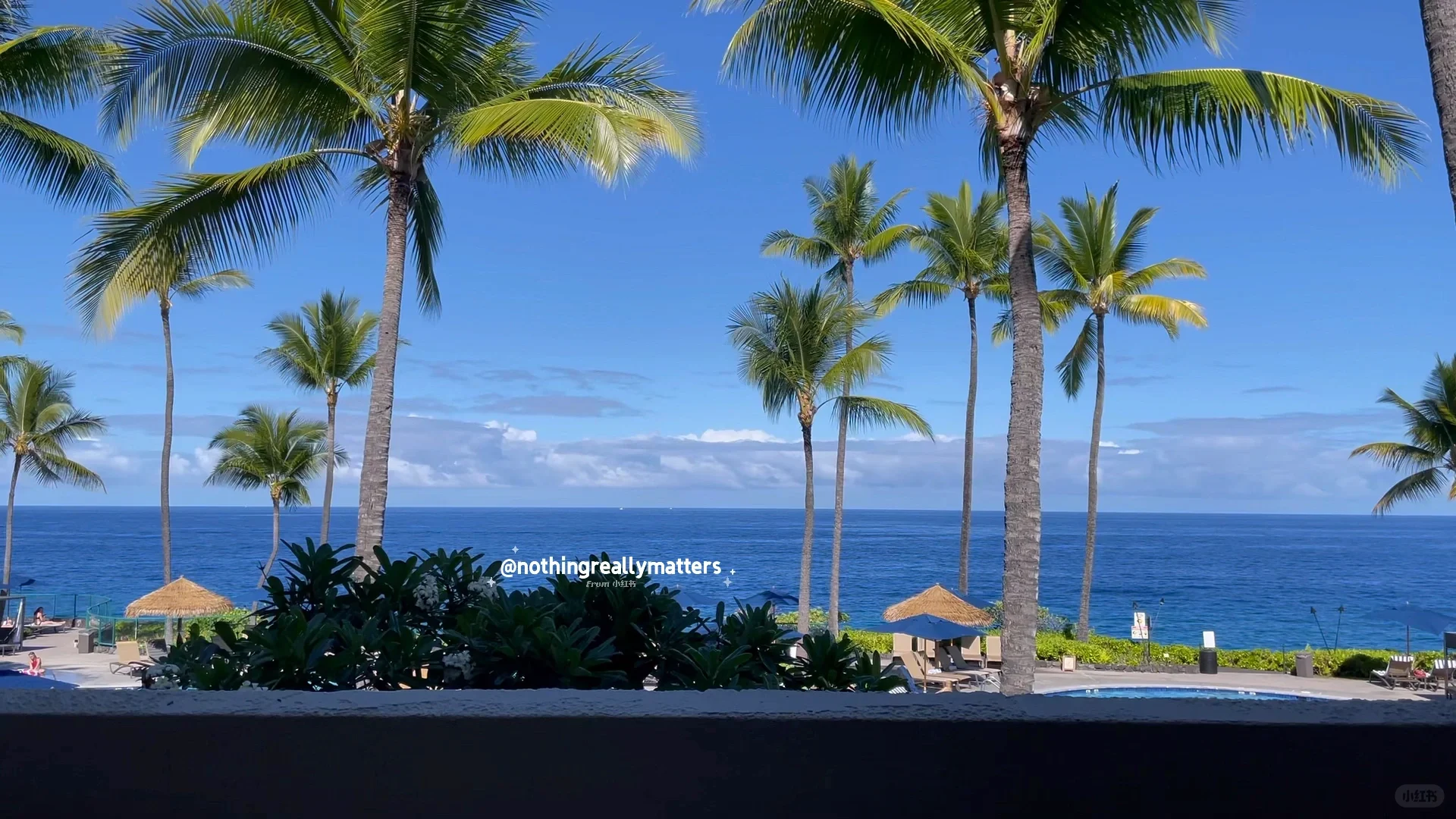 🏝️ Hawaii | The Significance of Live Photos