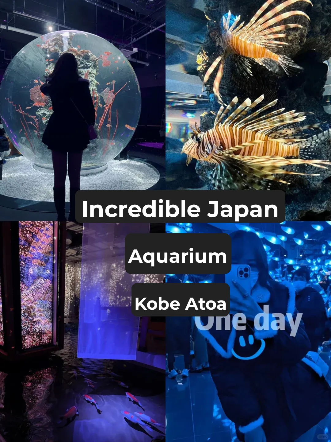 Kobe | 𝙖𝙩𝙤𝙖 I Call It the Deceptive Oceanarium 😭 ATOA