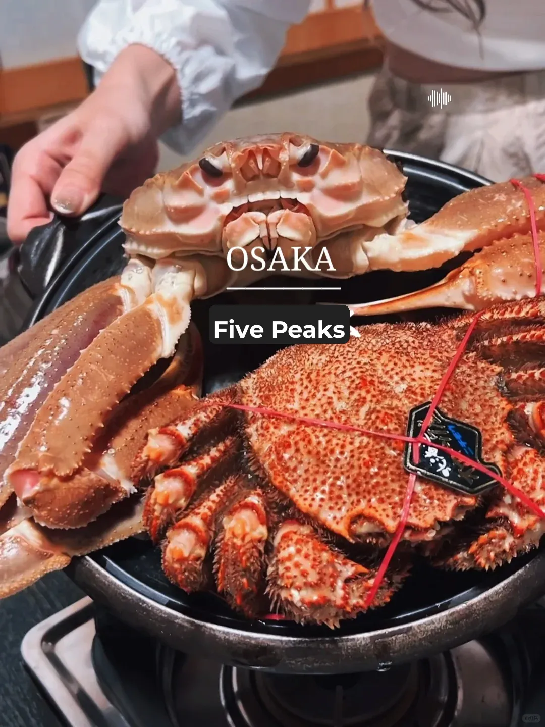 Osaka | Hidden Gem: Crab & Blowfish Delicacies
