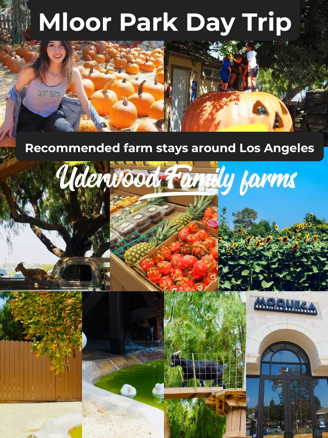 LA Day Trip | Weekend Fun at Underwood Farm 🩷