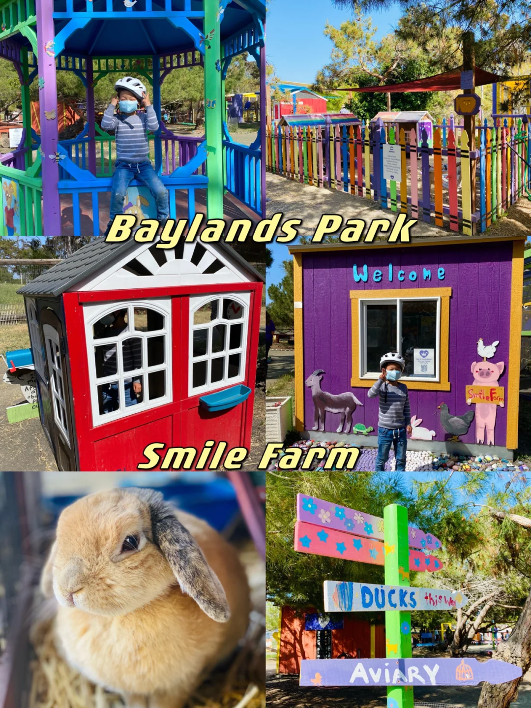 The Cutest Smile Farm in the Bay Area | Baylands Park