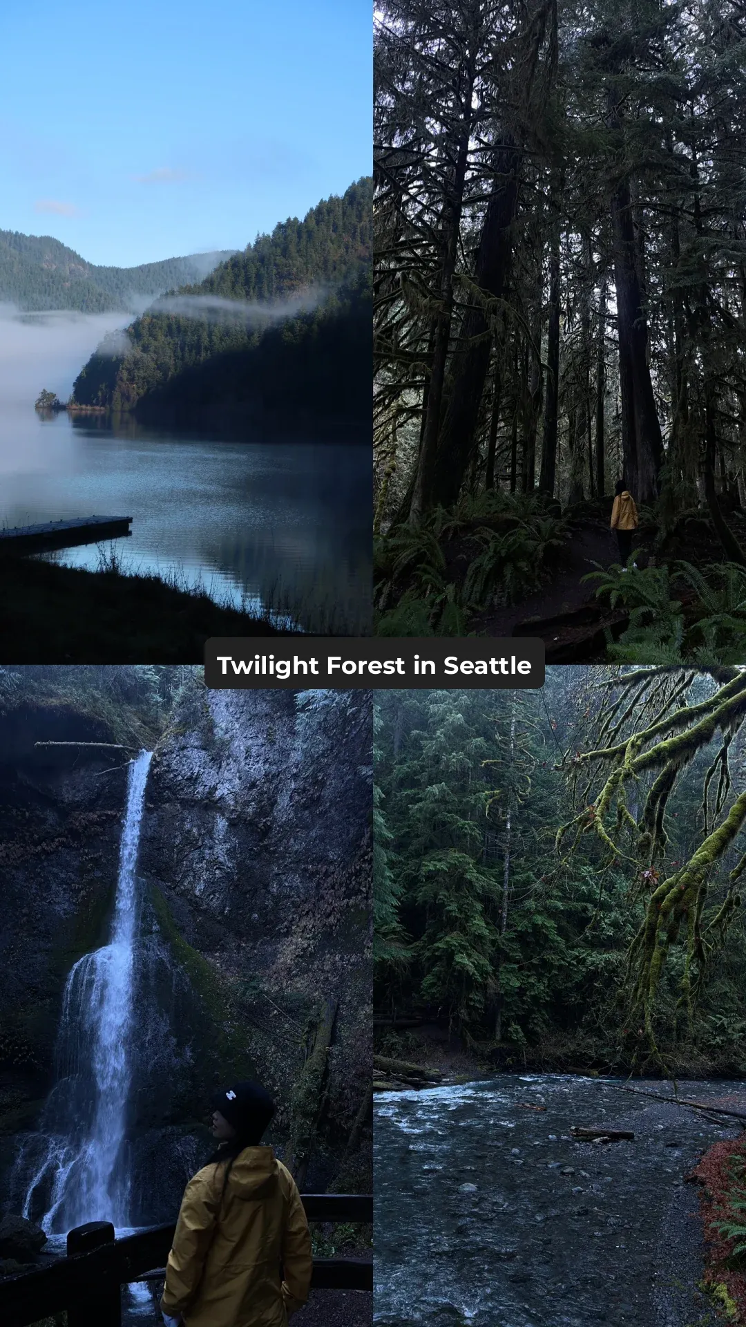 Olympic National Park in Seattle is Absolutely Stunning!