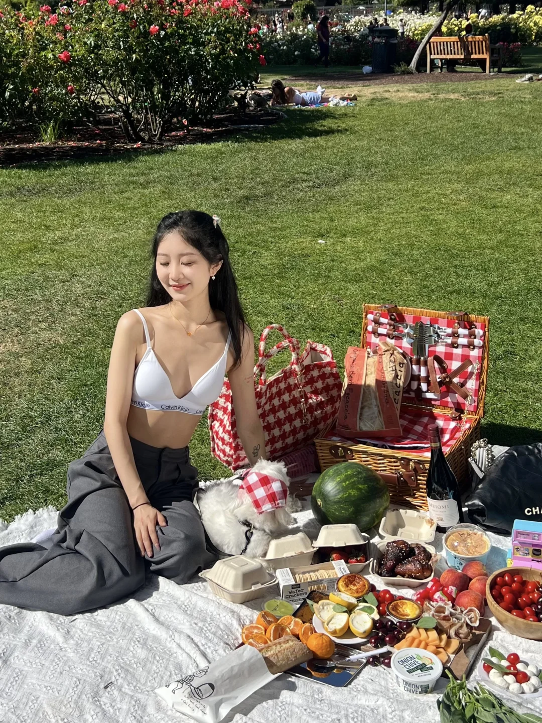 Bay Area Picnic Day ✨💫🧺💫✨