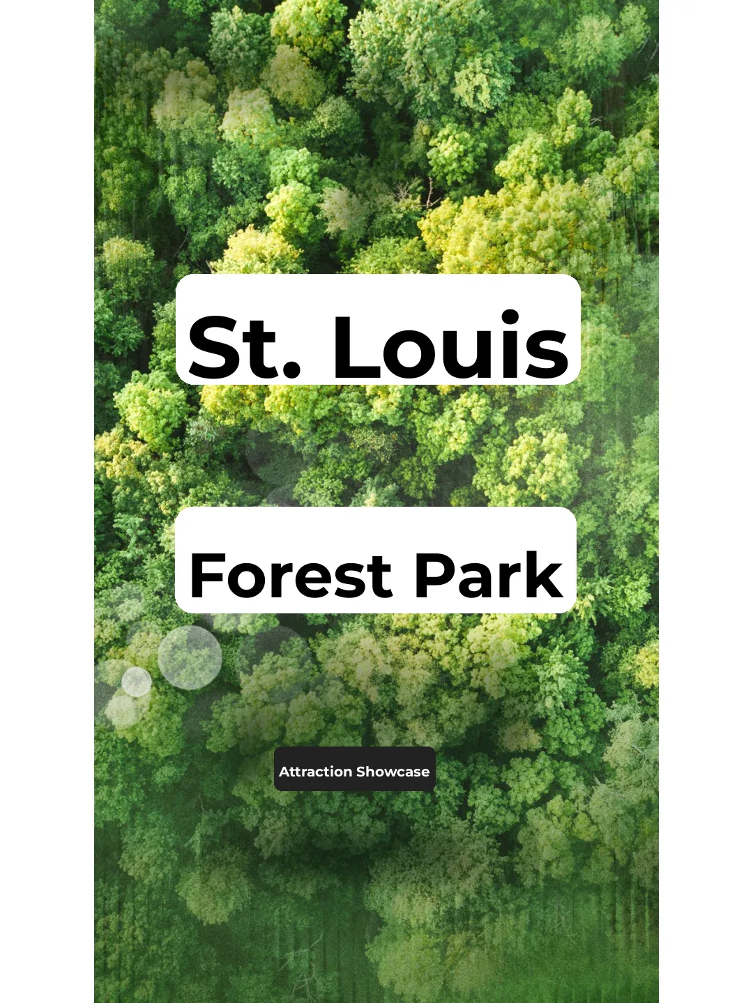 A Grand Tour of Forest Park Attractions in St. Louis