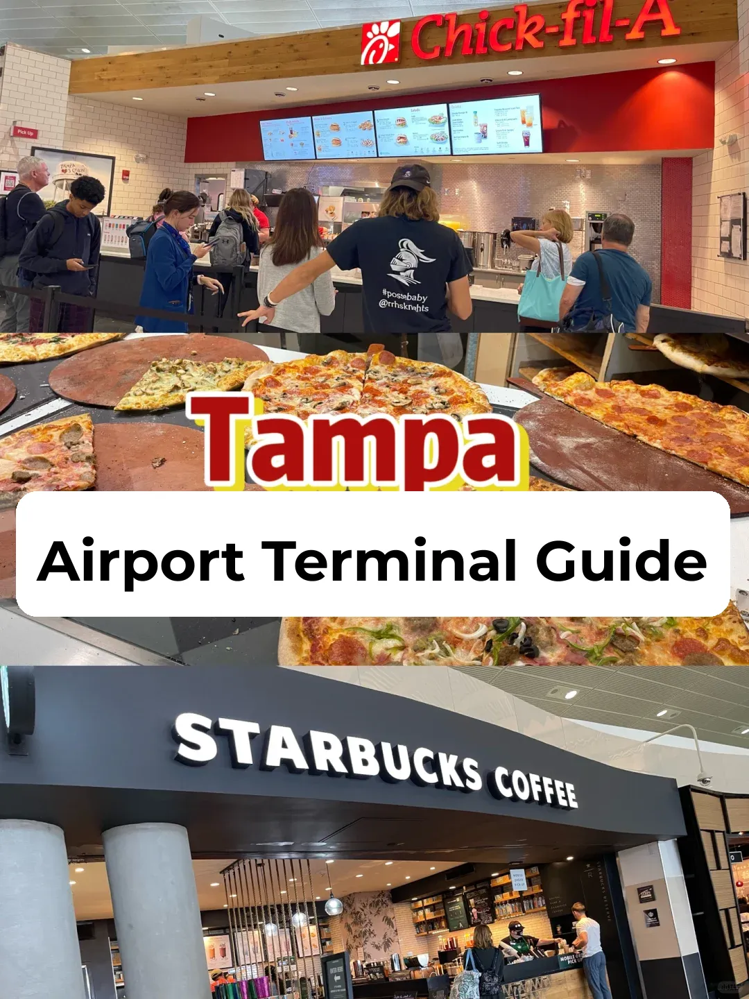 Tampa International Airport: A Guide to the Inter-Terminal Experience