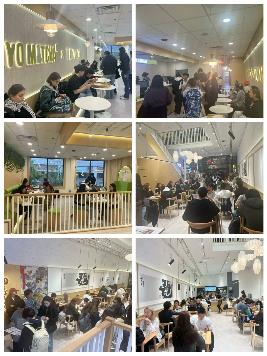 TE'AMO x KYO MATCHA x Kishishou (UIUC in Champaign)