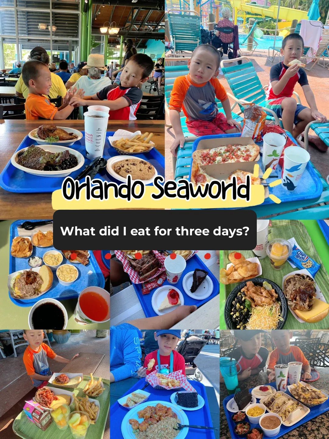 Is the All-Day Dining Pass at Orlando's SeaWorld Worth It?
