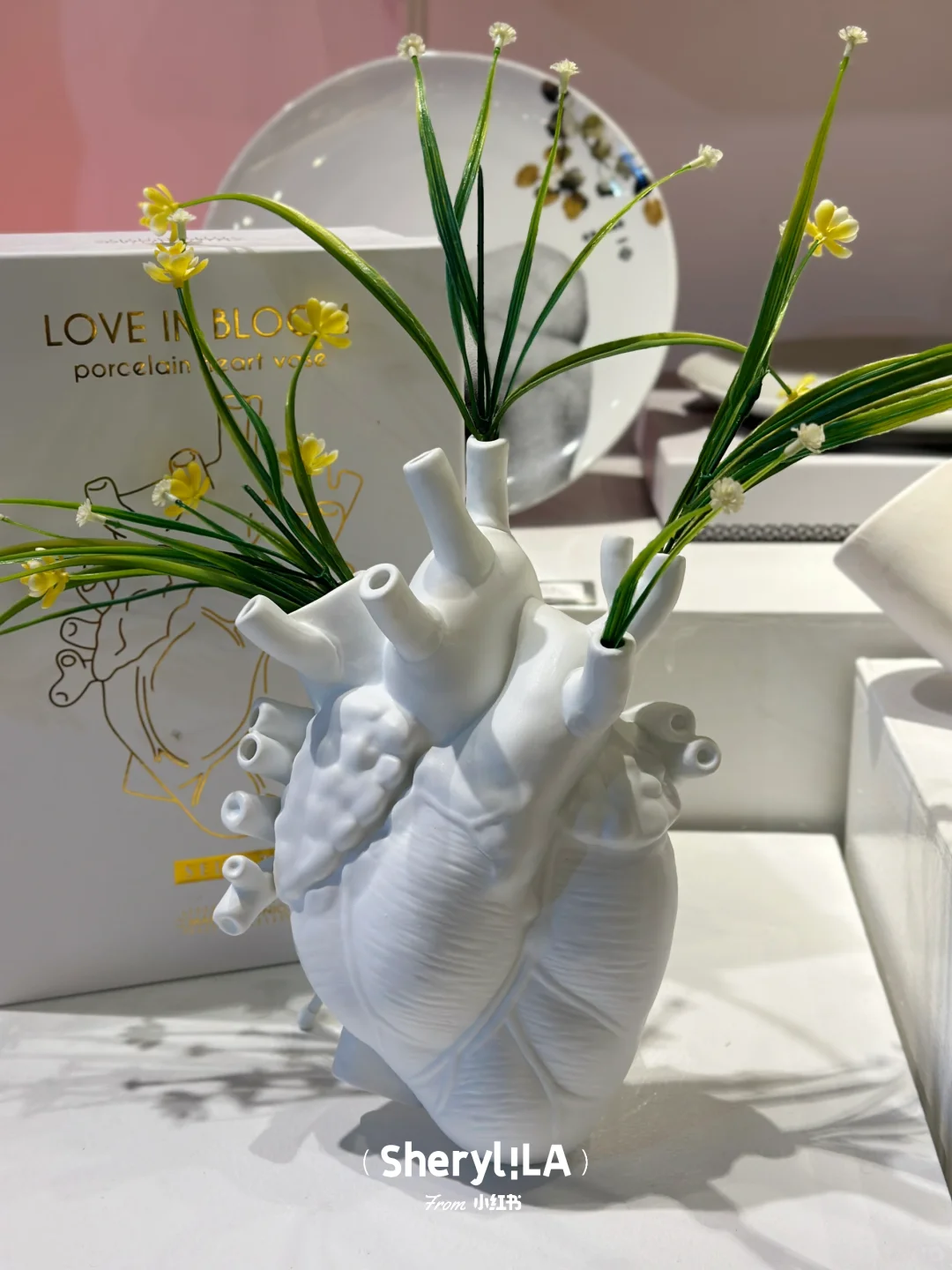 🎨What Else is Fun in Santa Monica Besides the Sunset Roller Coaster?