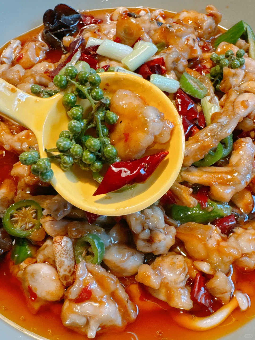 "Enjoying Delicious Chinese Cuisine in Houston: Savoring Sichuan Dishes 😋"