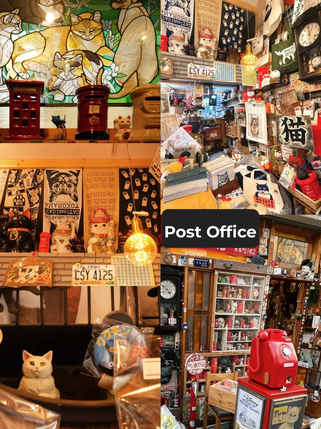 I'm a Pro at Planning Routes! ✨ Tokyo's Kagurazaka City Walk