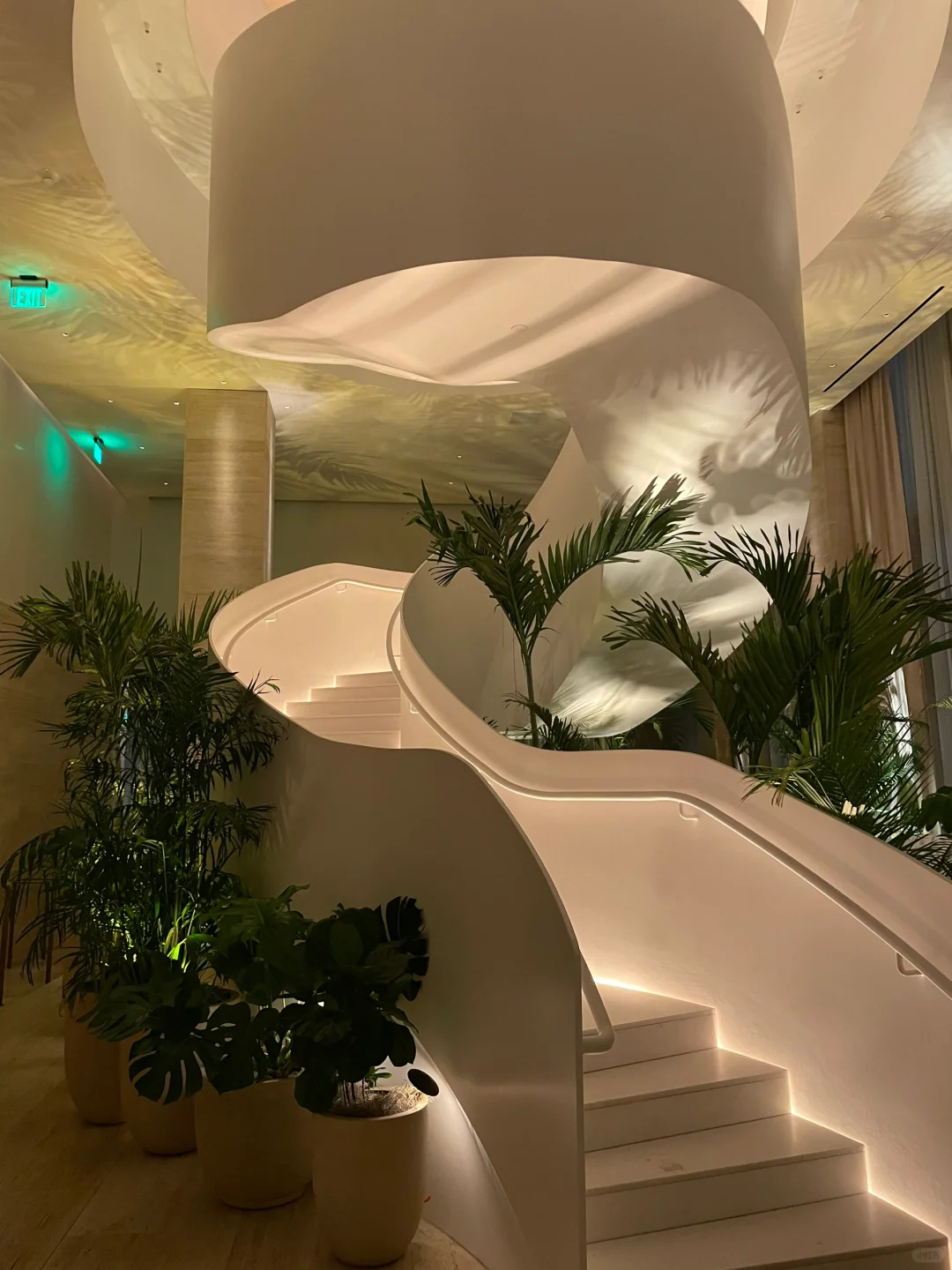 EDITION in Tampa, the "No Free Riders State," is Surprisingly Good