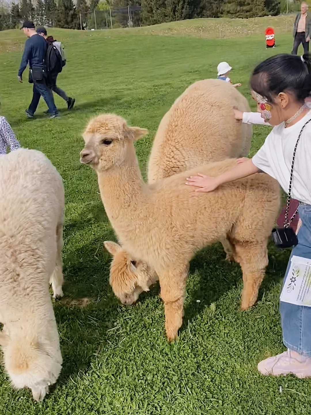 Paris Suburbs - Perfect Spring Weekend Getaway: Parrot World