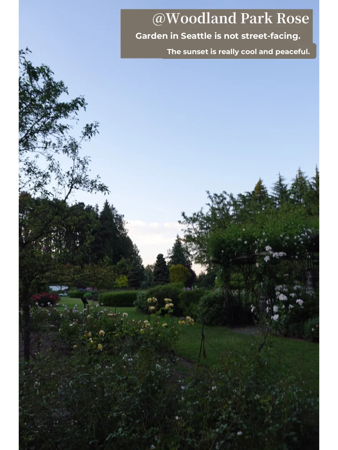 📌Seattle's Green Lake ｜ A Weekend of Eating, Drinking, and Wandering